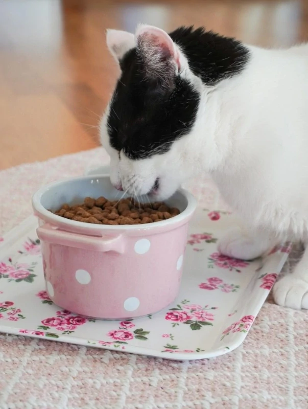 Keramická zapékací miska s uchy růžová 250 ml